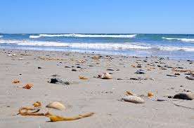 Tourmaline Surfing Park