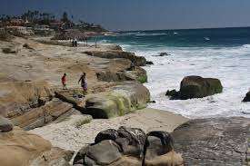 Windansea Beach