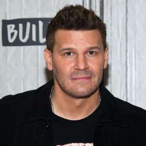 David Boreanaz Birthday, Real Name, Age, Weight, Height, Family, Facts ...