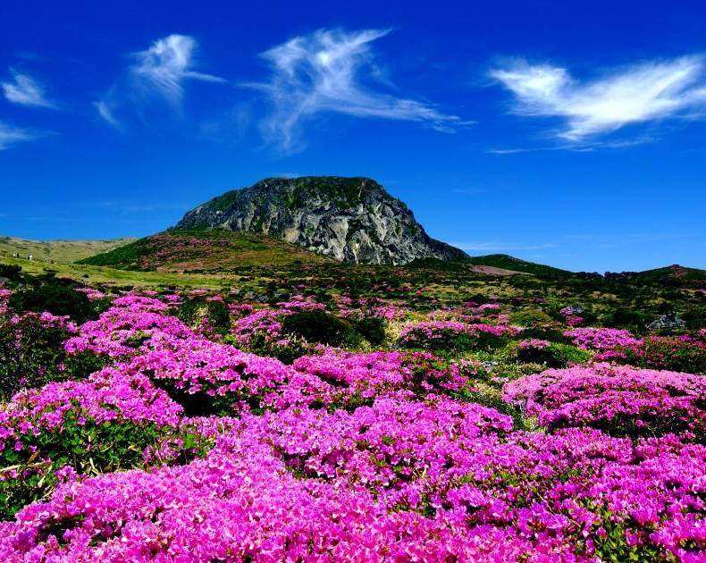 10 Must-Visit Places in Jeju Island, South Korea