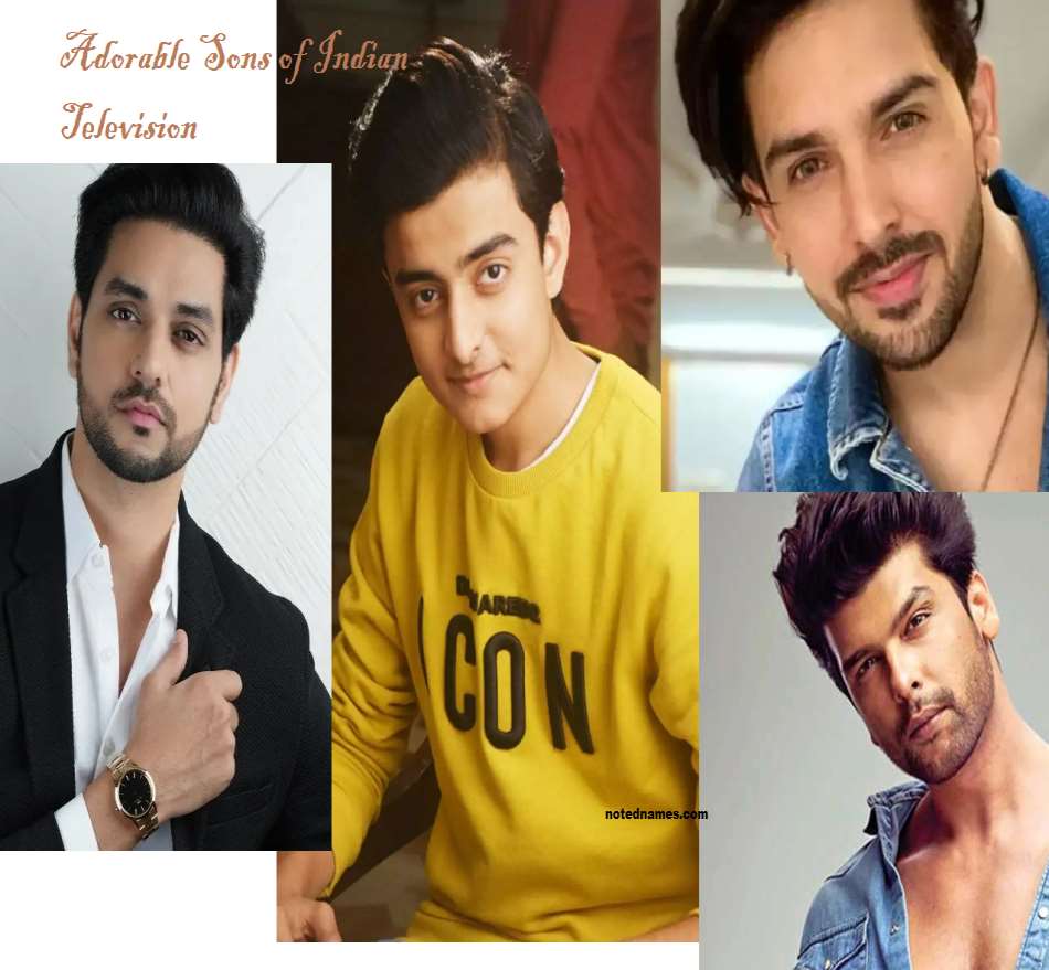 Adorable Sons of Indian Television Show