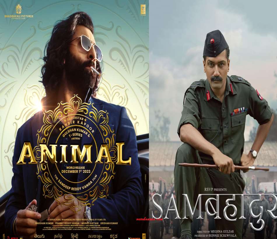 Sam Bahadur Box Office Collection Vs Animal Box Office Collection