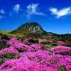 10 Must-Visit Places in Jeju Island, South Korea