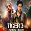 Salman and SRK Reunite for Tiger 3, Release Date, Story, Cast and More