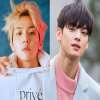 Top 10 Most-Searched Male K-Pop Idols in Korea for 2023