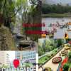 Top Tourist Spots in Chandigarh