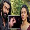 Triptii Dimri's Response to Criticism on Intimate Scene with Ranbir Kapoor in Animal