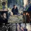 Will Fans Get a Thrilling Return to the Winchester Brothers' World With Supernatural Season 16