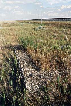 The town is quite known for its worst agriculture disaster victim such as fires, drought, grasshoppers and marauding rabbits and natural calamity, and