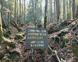 Suicide prevention association in the country puts helpline contact number in the forest Suicide prevention association in the country puts helpline contact number in the forest.