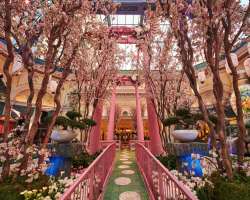 The alluring garden in the Bellagio has some special features such as their flowers are repeatedly changed with the flow and change with all 5 seasons