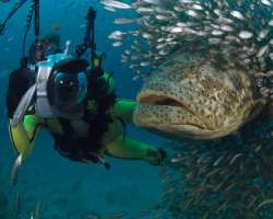 Scuba diving and fishing are its main attractions which gain the attention of several tourist towards this unknown island.