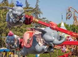 Its rides at Disneyland are iconic and adventurous. Fly through the air on the famous Dumbo the Flying Elephant or reach for the stars on Space Mounta