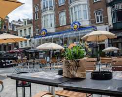 Restaurants serving Italian, Chinese, Indian, and Argentinian foods are also located here which is the best place for food lovers.