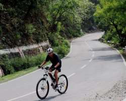 It is also a favorite location for bikers and cyclists. Many groups cycled to the uphill in the groups.