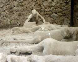 Even organic remains like human bodies and wooden objects were found in the excavation. All of the things were frozen at the moment and were buried un