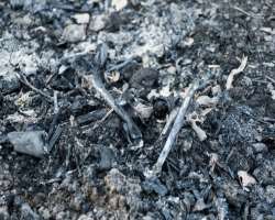 The most shocking fact revealed about the island was that the land of the island is full of human skeletons and bones which turned ashes which caused 