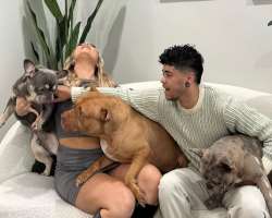 The star is an animal lover and has adopted three dogs named Pai, Piglet and Pudge.