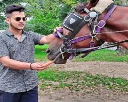 Aayush Rimal Birthday, Real Name, Age, Weight, Height, Family, Facts ...