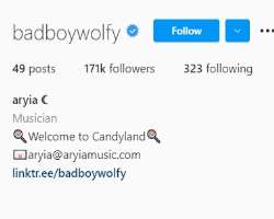 He is also famous on Instagram where his blue tick verified <b>badboywolfy</b> Instagram account amassed over 171,000 followers. He shares his selfies