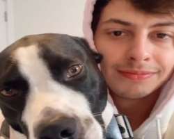 He has a furry member in his family who also made appearance in his TikTok videos. 