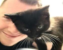 The star has adopted a kitten in May 2019 and named her Bear.