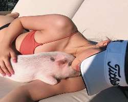 Marie has adopted a piglet in her home.