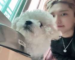 Han (Rapper) Birthday, Real Name, Age, Weight, Height, Family, Facts ...