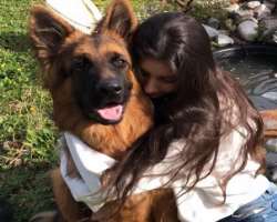 She is accompanied by a German Shepherd in her home who turned one in February 2020. She named the dog Klaus who also has his own Instagram account She is accompanied by a German Shepherd in her home who turned one in February 2020. She named the dog Klaus who also has his own Instagram account.