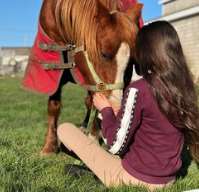 She is an avid horseback rider She is an avid horseback rider.