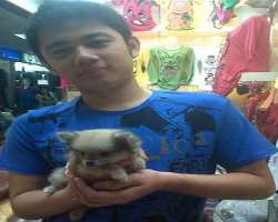 He has a cute dog which he adopted in 2012.