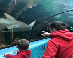 Though he is very busy creating content for his YouTube channel he also loves to spend time with his family.