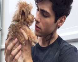 Matthew Daddario Birthday, Real Name, Age, Weight, Height, Family ...