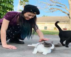 She is very fond of cats and they are her favorite animal.