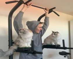 The star is a cat-lover and has a couple of cats who accompany him in his fitness routine.