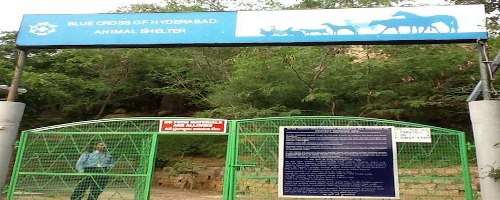 <b>He is an animal lover</b>. For the safety of animals, he founded 