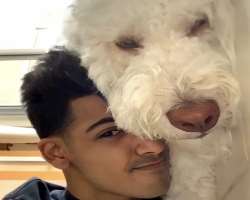 The star has adopted a labradoodle who he calls Rocco.