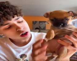 Jaden has adopted a puppy in December 2020 who also appeared in his TikTok videos.