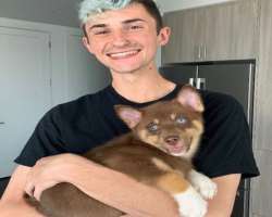 Tofuu has adopted a dog in July 2020. He named the dog Angel and loves him like a son.