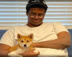 The star has adopted a dog in his home and loves to spend his spare time with his dog The star has adopted a dog in his home and loves to spend his spare time with his dog.