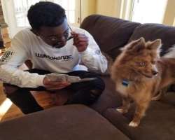 The star has adopted a dog with whom he spends his free time.
