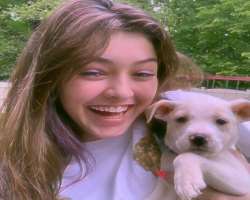The star is accompanied by three dogs in her home.