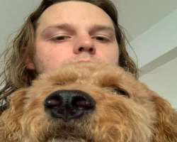 The star has a furry friend in his family The star has a furry friend in his family.
